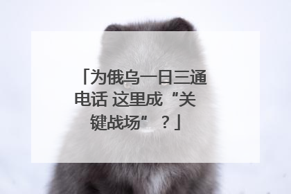 为俄乌一日三通电话 这里成“关键战场”？