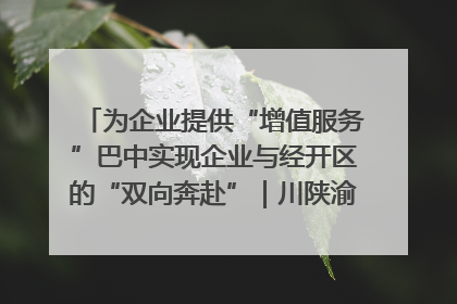 为企业提供“增值服务”巴中实现企业与经开区的“双向奔赴”｜川陕渝网络名人巴中行