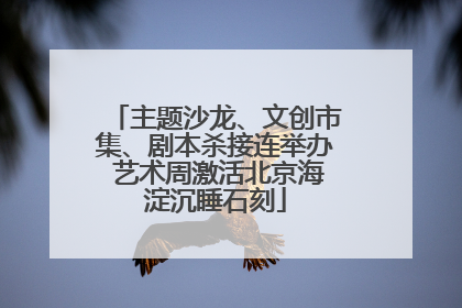 主题沙龙、文创市集、剧本杀接连举办 艺术周激活北京海淀沉睡石刻