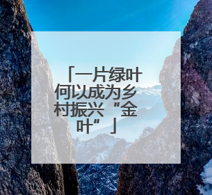 一片绿叶何以成为乡村振兴“金叶”