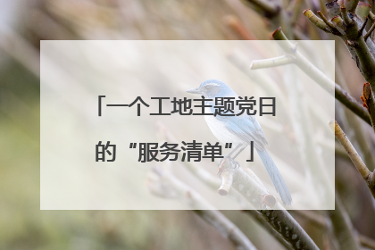 一个工地主题党日的“服务清单”