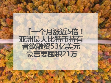 一个月涨近5倍！亚洲最大比特币持有者欲融资53亿美元 豪言要囤积21万枚比特币