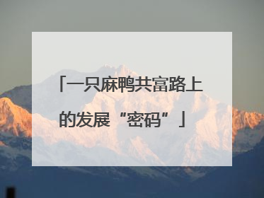 一只麻鸭共富路上的发展“密码”