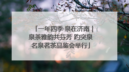 一年四季·泉在济南｜泉茶雅韵共芬芳 趵突泉名泉茗茶品鉴会举行
