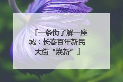 一条街了解一座城：长春百年新民大街“焕新”