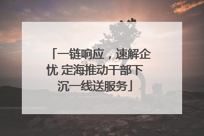 一链响应，速解企忧 定海推动干部下沉一线送服务