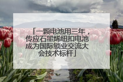 一颗电池用三年，传应石墨烯纽扣电池成为国际锁业交流大会技术标杆