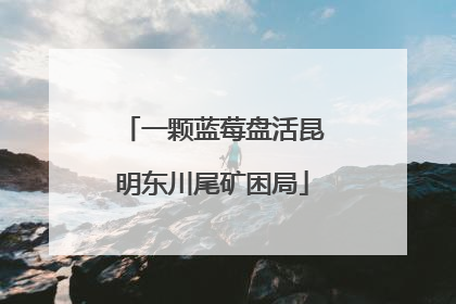 一颗蓝莓盘活昆明东川尾矿困局
