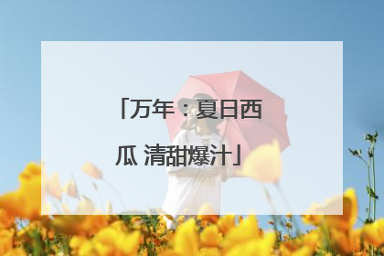 万年：夏日西瓜 清甜爆汁