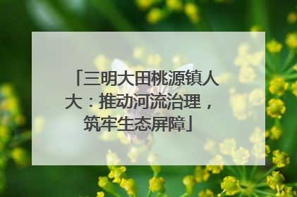 三明大田桃源镇人大：推动河流治理，筑牢生态屏障