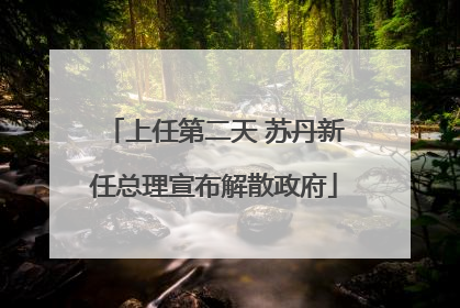 上任第二天 苏丹新任总理宣布解散政府