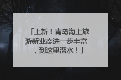 上新！青岛海上旅游新业态进一步丰富，到这里潜水！