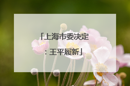 上海市委决定：王平履新