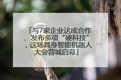 与7家企业达成合作、发布多项“硬科技”，这场具身智能机器人大会蓉城启幕