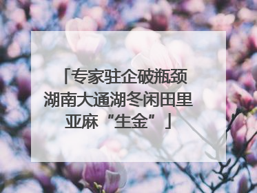 专家驻企破瓶颈 湖南大通湖冬闲田里亚麻“生金”