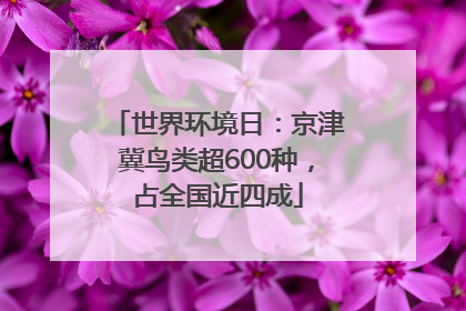 世界环境日：京津冀鸟类超600种，占全国近四成