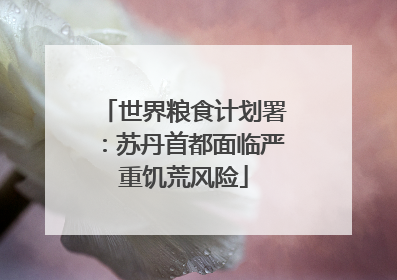 世界粮食计划署：苏丹首都面临严重饥荒风险