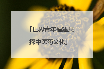 世界青年福建共探中医药文化