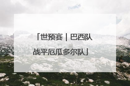 世预赛｜巴西队战平厄瓜多尔队