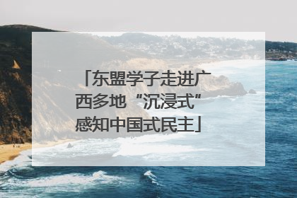 东盟学子走进广西多地“沉浸式”感知中国式民主