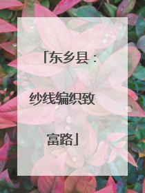 东乡县：纱线编织致富路