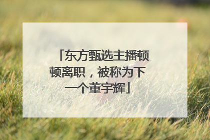 东方甄选主播顿顿离职，被称为下一个董宇辉
