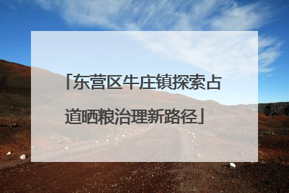 东营区牛庄镇探索占道晒粮治理新路径