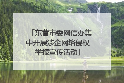 东营市委网信办集中开展涉企网络侵权举报宣传活动