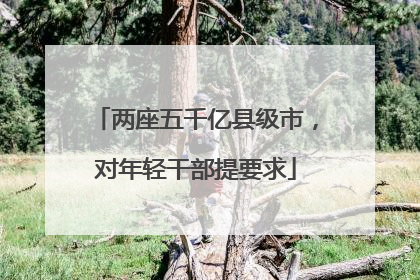 两座五千亿县级市，对年轻干部提要求