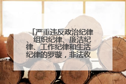 严重违反政治纪律、组织纪律、廉洁纪律、工作纪律和生活纪律的罗璇，非法收受他人巨额财物