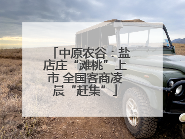 中原农谷：盐店庄“滩桃”上市 全国客商凌晨“赶集”