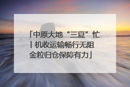 中原大地“三夏”忙丨机收运输畅行无阻 金粒归仓保障有力