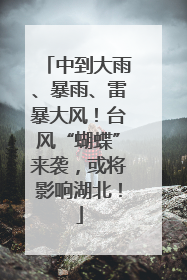 中到大雨、暴雨、雷暴大风！台风“蝴蝶”来袭，或将影响湖北！