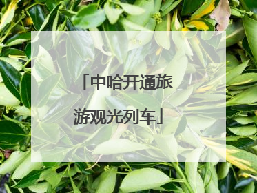 中哈开通旅游观光列车