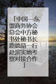 中国—东盟商务协会总会中方秘书处秘书长鹿德晶一行赴滨实地考察对接合作