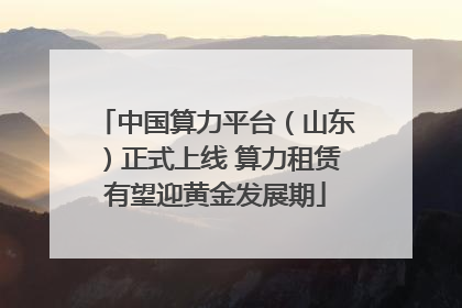 中国算力平台（山东）正式上线 算力租赁有望迎黄金发展期