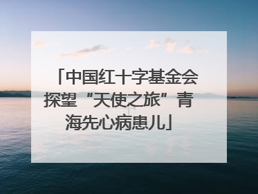 中国红十字基金会探望“天使之旅”青海先心病患儿