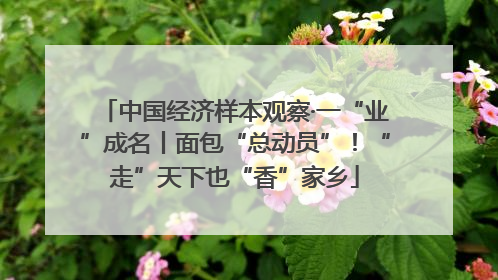 中国经济样本观察·一“业”成名丨面包“总动员”！“走”天下也“香”家乡