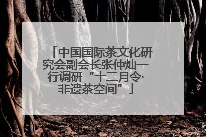 中国国际茶文化研究会副会长张仲灿一行调研“十二月令·非遗茶空间”