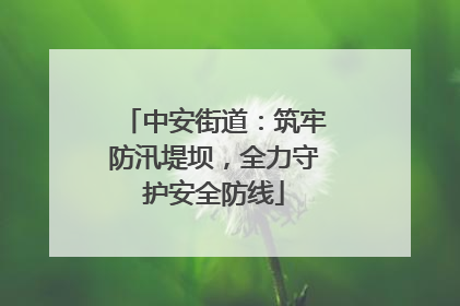 中安街道：筑牢防汛堤坝，全力守护安全防线