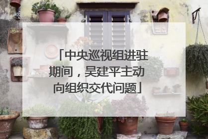 中央巡视组进驻期间，吴建平主动向组织交代问题