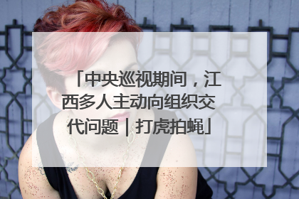中央巡视期间，江西多人主动向组织交代问题｜打虎拍蝇