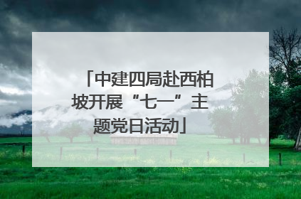 中建四局赴西柏坡开展“七一”主题党日活动