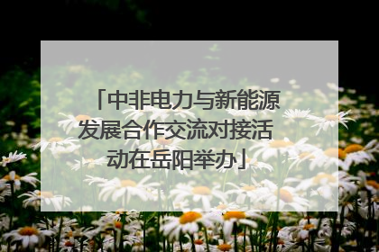 中非电力与新能源发展合作交流对接活动在岳阳举办