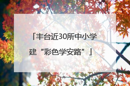 丰台近30所中小学建“彩色学安路”