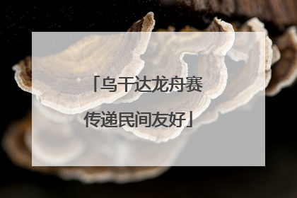 乌干达龙舟赛传递民间友好