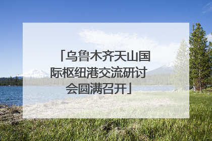 乌鲁木齐天山国际枢纽港交流研讨会圆满召开