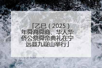 乙巳（2025）年舜裔舜商、华人华侨公祭舜帝典礼在宁远县九嶷山举行