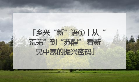乡兴“新”语①丨从“荒芜”到“苏醒” 看新晃中寨的振兴密码