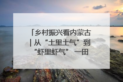 乡村振兴看内蒙古｜从“土里土气”到“虾里虾气” 一田双收模式火出圈